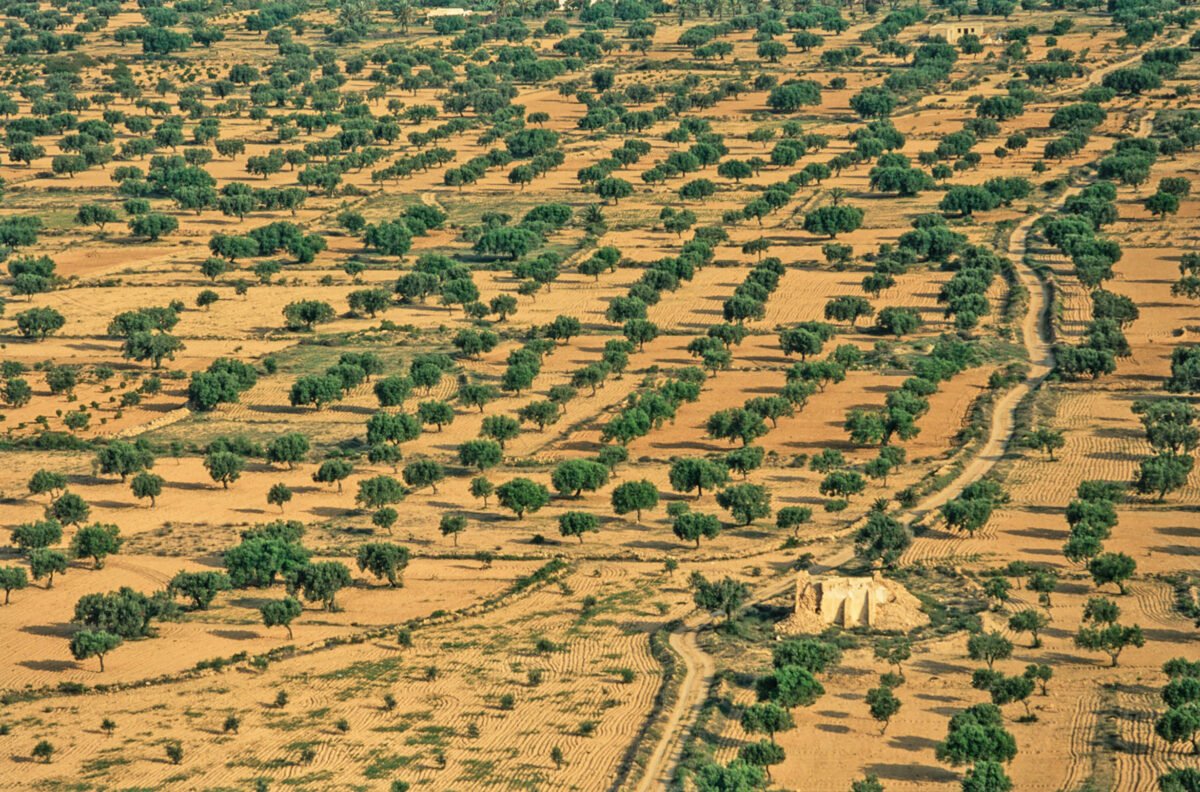 Titre de l&rsquo;article